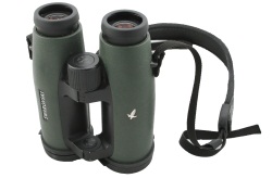 Binoculars representing a job hunt