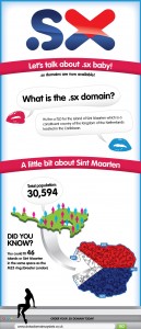 123-reg sx domain infographic