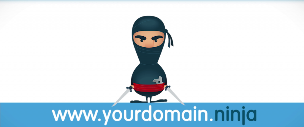 Dot Ninja domain