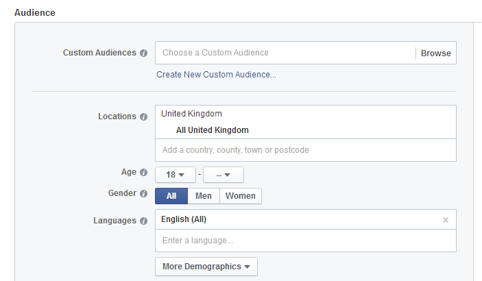 Facebook audience example