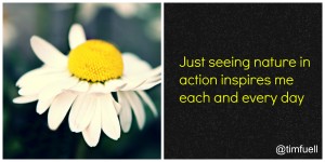 Nature in action