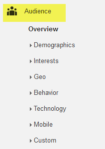 Google Analytics Audience