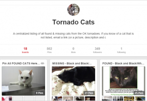 tornado cats