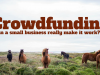 Crowdfunding – Can a small business really make it work?