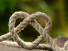 Your complete guide to backlinks