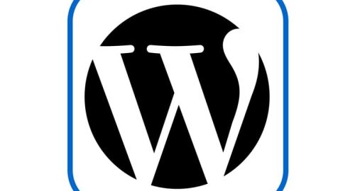 Wordpress icon
