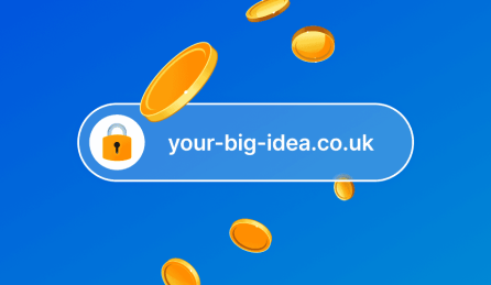 Domain Renewals Explaiend