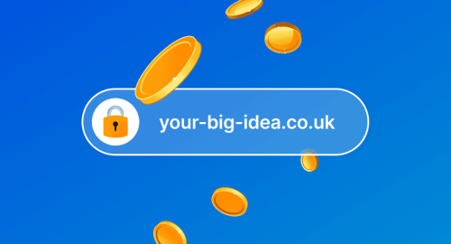 Domain Renewals Explaiend