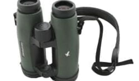 Binoculars representing a job hunt