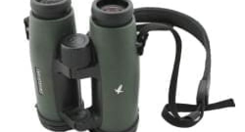 Binoculars representing a job hunt