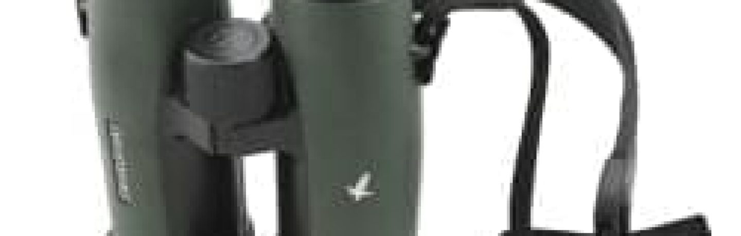 Binoculars representing a job hunt