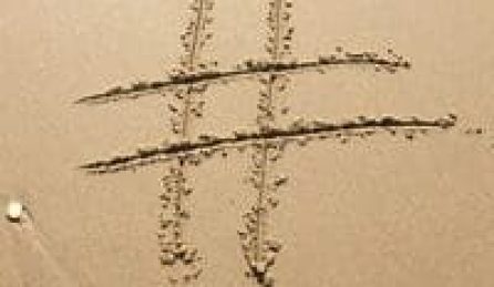 hashtags_main