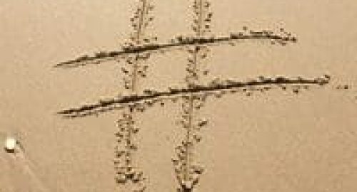 hashtags_main
