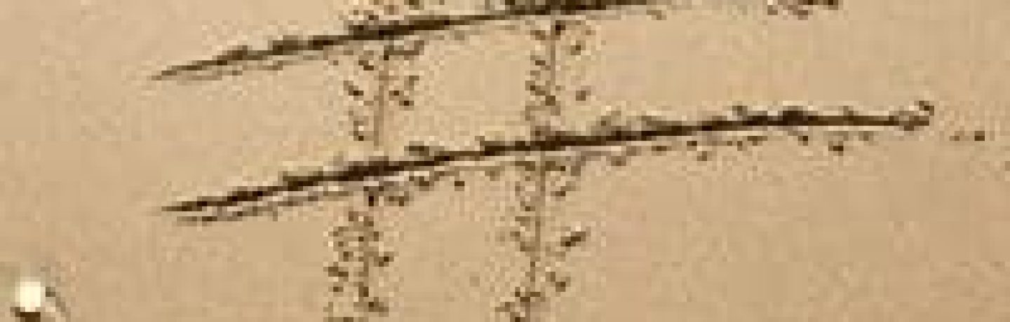 hashtags_main