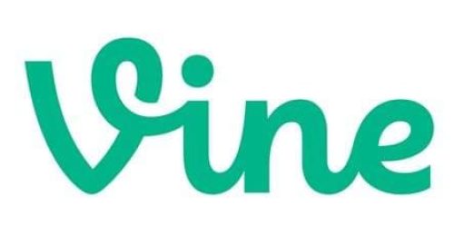 vine