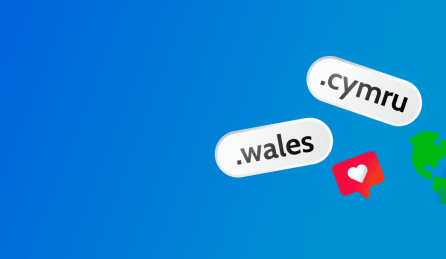 .wales domain name
