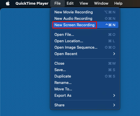 View QuickTime Player